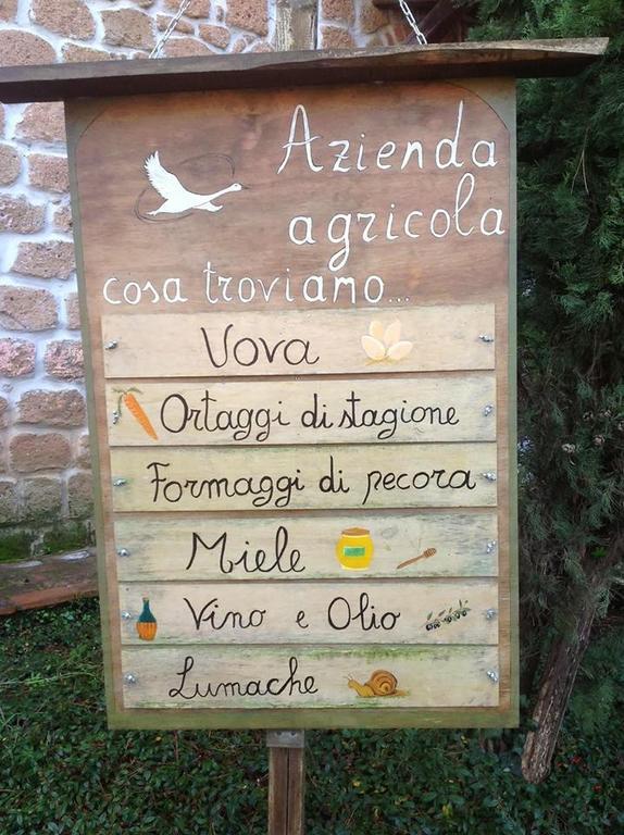 Agriturismo L'Oca Bianca Villa Cave Dış mekan fotoğraf